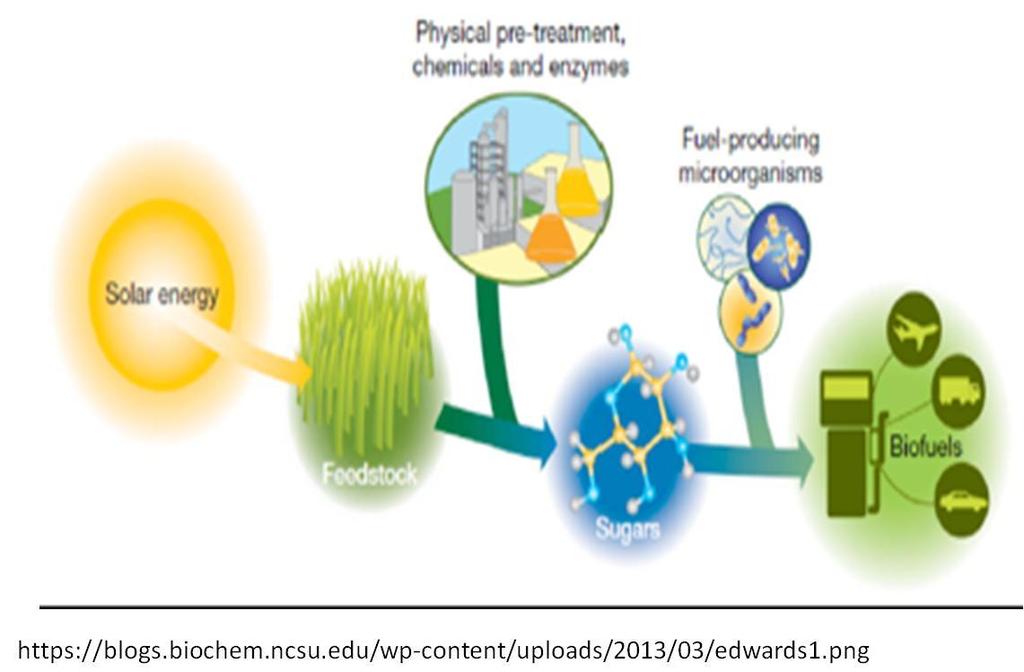 Biofuels : What