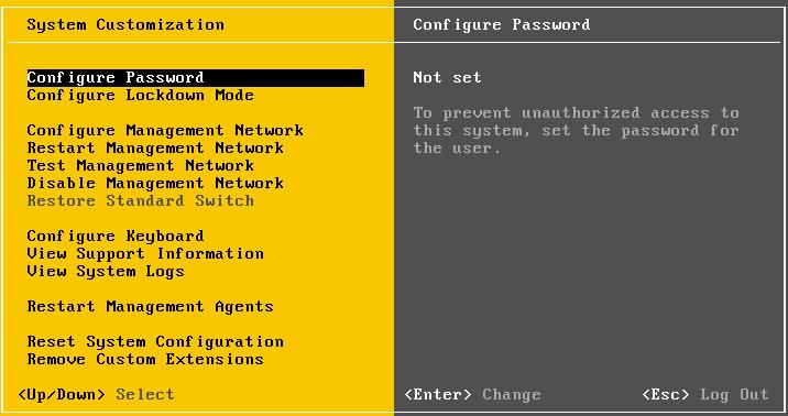 Figure 1. ESXi basic configuration Then, we started the server and used it as standalone ESXi server.