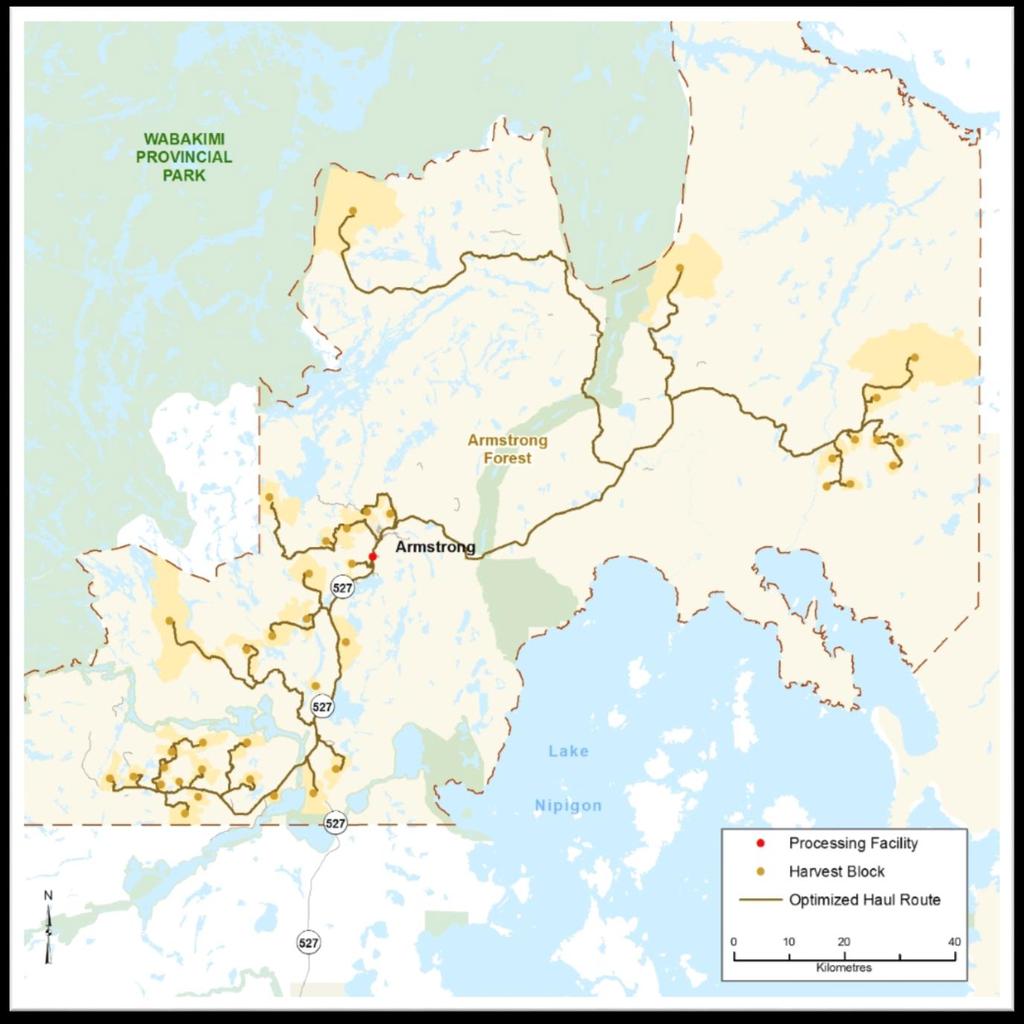 Opening The Window In 2008 the meltdown of the Northwestern Ontario forest industry removed harvesting pressure on the Armstrong Forest and led to the abandonment of the Sustainable Forest License on