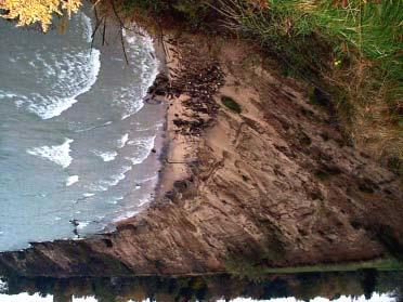 Erosion Impacts Damage to structures along bluffs Loss of