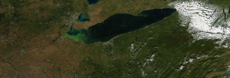 June 2015 RECOMMENDED BINATIONAL PHOSPHORUS TARGETS TO COMBAT LAKE ERIE ALGAL BLOOMS Introduction Algae occur naturally in freshwater systems.