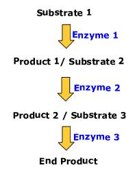 Significance: controlling the position of proteins in membranes creating hydrophilic channels through membranes specificity of active sites in enzymes Six functions/types of proteins: #1 Transport An