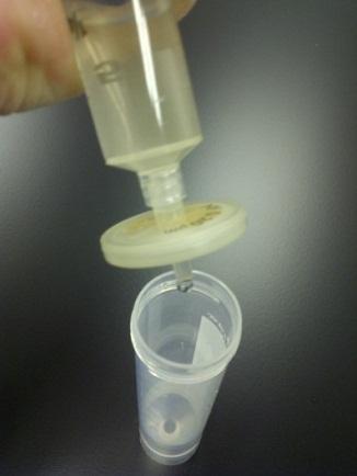 ensure that the sample is stirred (e.g.