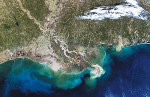 Gulf of Mexico Dead Zone At its peak, the nearly lifeless water can