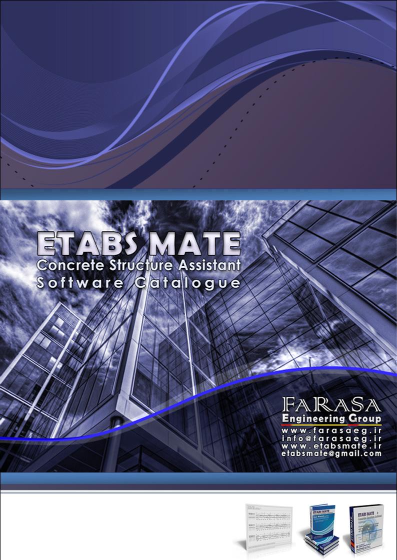 ETABS MATE Concrete Structure Detailer