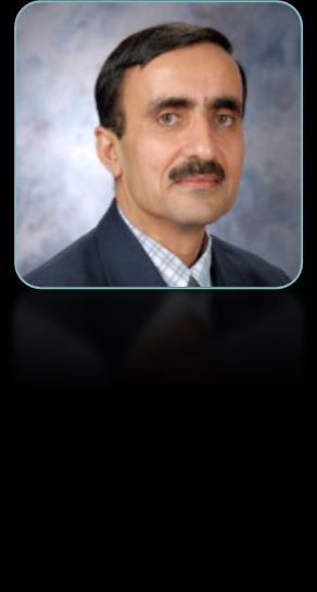 Biography Sanjeev Kapur is an independent consultant in the field of olefins based petrochemical businesses.