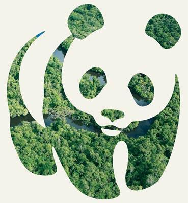 WWF IN SHORT +100 WWF is in over 100 countries 1961 WWF was founded In 1961 +5000 WWF has over 5,000 staff worldwide +5M WWF has over 5 million supporters OUR MISSION: To stop the degradation of the