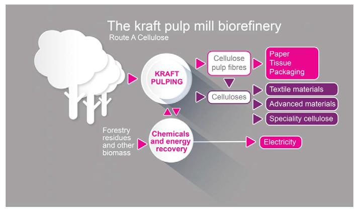 Pulp mills Current status Pulp and paper industry is in an ideal position to convert to a true biorefinering/green chemistry industry Wood sourcing and logistics
