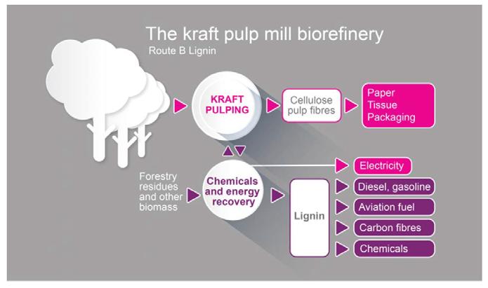 Pulp mills Future B Lignin 45 Carbon Fibres Pulp mills Future B