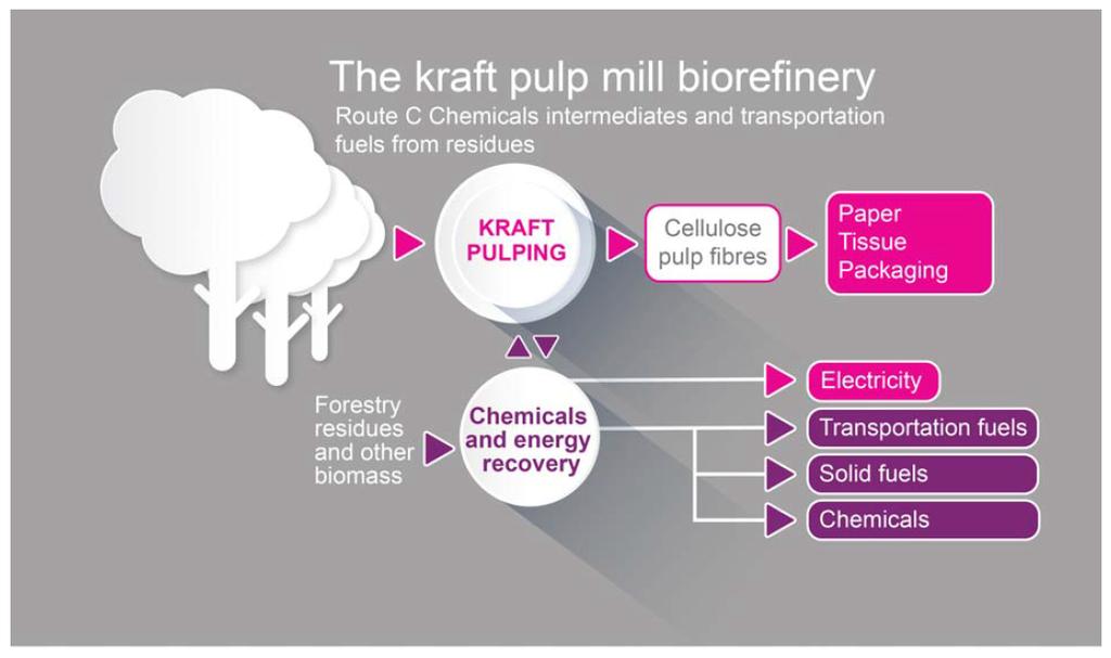 Pulp mills Future C Chemical Intermediates 47 Contents Background Biorefinery/Green