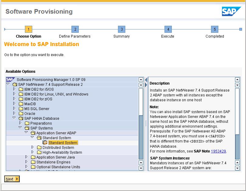 4. Execution You choose the option you want to execute: On Welcome screen, choose <Your SAP product version> <Your database> <Service> You follow the