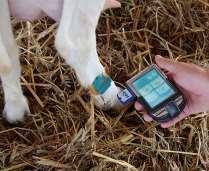Best Practice Guide on Goats Last updated: April 10, 2017 Aida Xercavins. Animal Welfare subprogram, IRTA. This guide aims to assist dairy goat farmers using new technologies on farm.