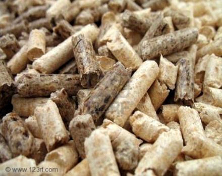 Objectives Outline global movement**of wood chips Exports & Imports coniferous/hardwood Volumes and Value Differentiate between wood chip