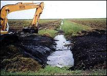 Ditch Management Periodic cleaning of ditch helps provide adequate drainage Cleanning of light sediment flock material that has high P Accumulation of sediment