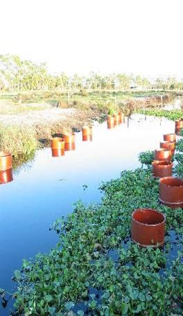 Ditch Water Retention and P Loadings Mesocosm Study SRP Load