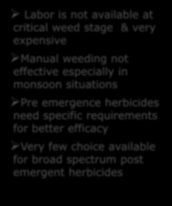 What Does Herbicide Tolerant Crops Offer?