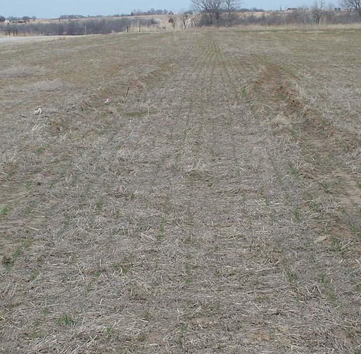 Soil Moisture and Compaction Traffic on wet soils causes ruts and