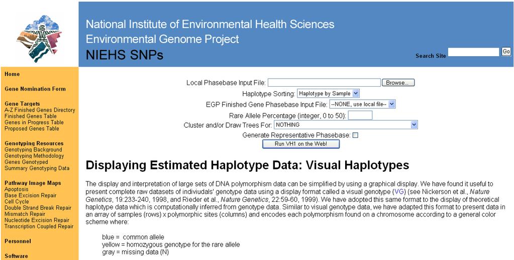 Haplotypes