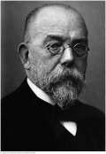 Pioneers in the Science of Microbiology Robert Koch (1843-1910) German physician who made numerous contributions to microbiology Made significant contributions to the germ theory of disease