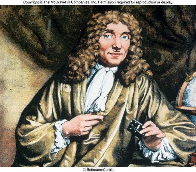 Antoni van Leeuwenhoek (1632-1723) Insert figure 1.