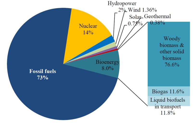 Bioenergy is the main EU renewable energy Gross inland energy consumption (2014, %) Biomass in transport 13% Gross final