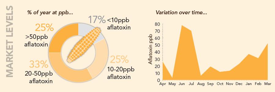 Aflatoxin: the problem Aflatoxin is a highly toxic substance caused by the growth of toxic strains of Aspergillus fungi, and is known to cause liver cancer, immune-system suppression, growth