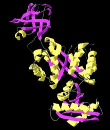 The answer is the "simplest", or sometimes also called the "independent" folding unit of a protein a domain. Knowing the fold of the different domains in a protein molecule is important in many cases.