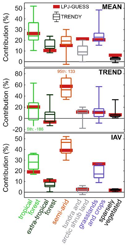 Fractional contribution to the land carbon sink (mean, trend, IAV) Semi-arid vegetation dynamics Tropical