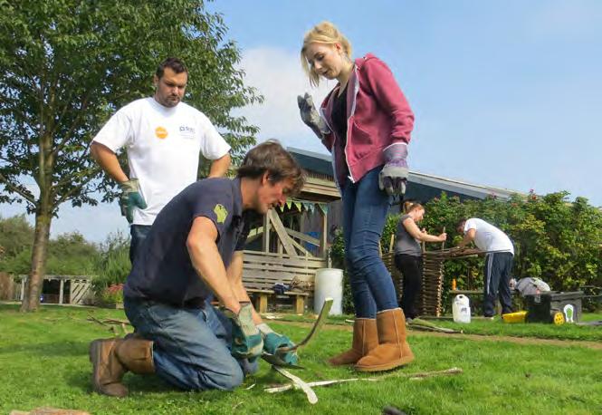 TCV partnership options TCV offers a range of partnership options tailored to reflect your organisation s objectives and practical considerations, such as size and location.