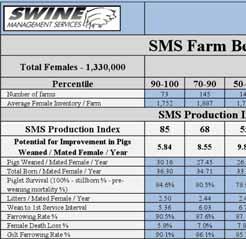 New SMS Executive Summary and Production Index Table 2 information solutions grown from eight to the 11 production numbers listed above.