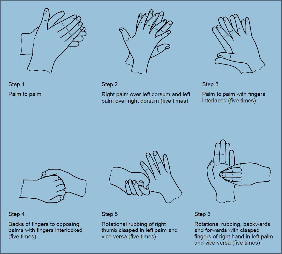 ANNEX 1 Pour appropriate volume of handrub product into the cupped dry hands and rub hands 30s 60 s in accordance with the standard handrub shown below to ensure total coverage of the hands.