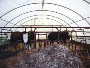 a b Fig 10.3 Animal housing and manure storage facilities in the manure lifecycle facility with 30%, respectively.