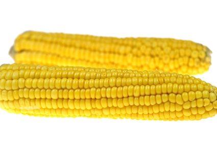 Corn Most heavily subsidized crop Corn is the major source of food in the American diet Almost everything Americans eat contains corn: high fructose corn syrup, corn- fed meat,