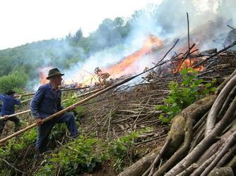 Slash and Burn Agricultural technique which involves cumng and burning of forests to create fields