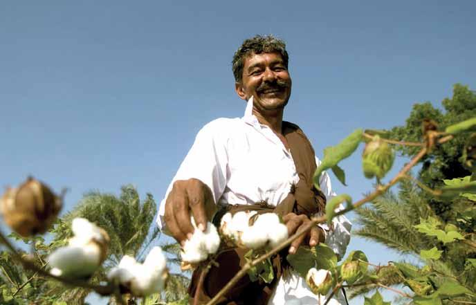 Cotton association of india 12 th January, 2016 9 Show You Care For The Cotton Farmer!
