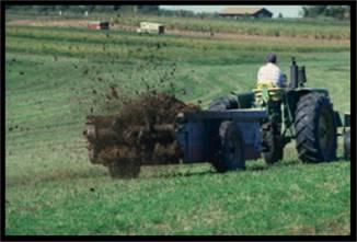 Increasing SOM Whole cropping system soil management: Manure applications to crops where high protein is desired, but not malting barley; Green manure crops: