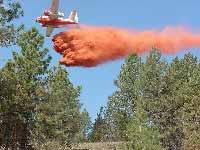 Other Fire Suppression Resources Air Tankers: These aircraft are primarily used for Initial Attack Air Tankers can carry between 700 and 2500 gallons of
