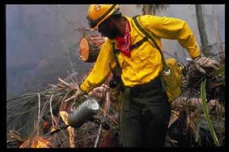Prevention Through Fire Management Decades of practicing fire exclusion, have caused many fire ecosystems to build up fuel loads beyond their capacity Fuels Management is now the focus: the planned