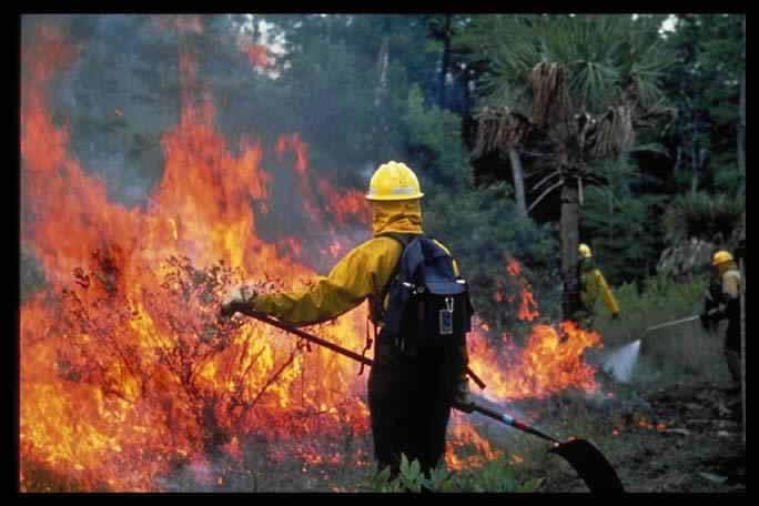 Fighting Forest Fires