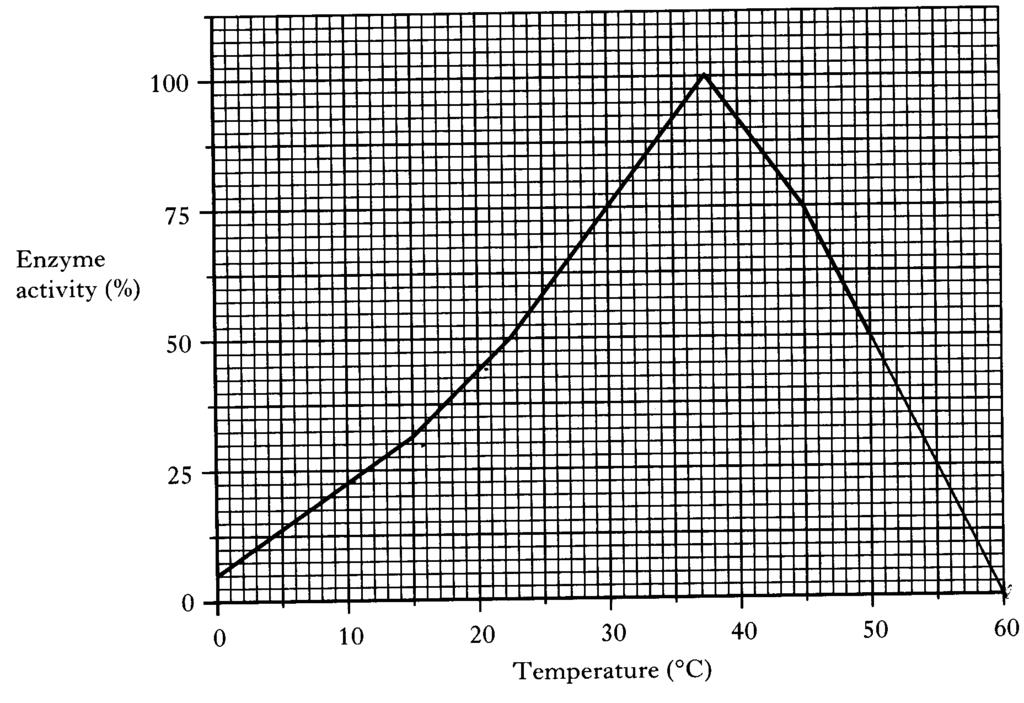 7. The graph shows the effect of temperature on the enzyme invertase.
