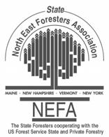 APPENDIX B: INDUSTRY SURVEY Interviewer Name: Date: North East State Foresters Association Good Forestry Brand Feasibility Study Company Name: Phone ( ) - Interviewee Name: Email Location: No.