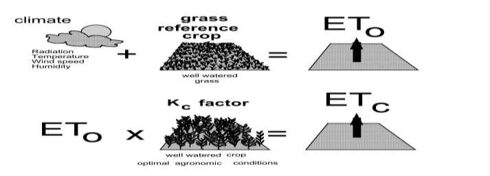Agronomic study and evaluation of crops need Agronomic study and evaluation of corps needs 1 Evapotranspiration ETc = Kc*ET0 ETc : Crop evapotranspiration