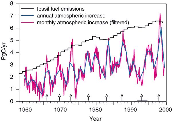 Annual rate of change of CO2 concentration in the atmosphere 3 2 1 ppm CO 2 /yr Agung El Chichon Pinatubo Volcanic eruptions (closed