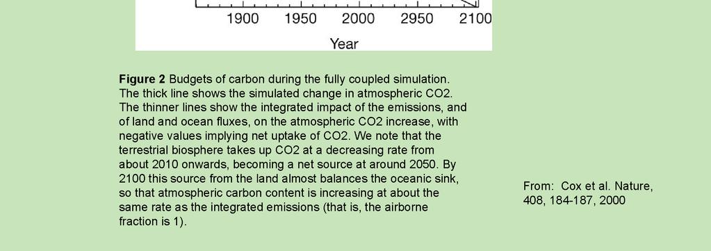 Results from the fully coupled model with dynamic vegetation From 1900 to about 2050 the land is a net sink for atmospheric CO 2, but after