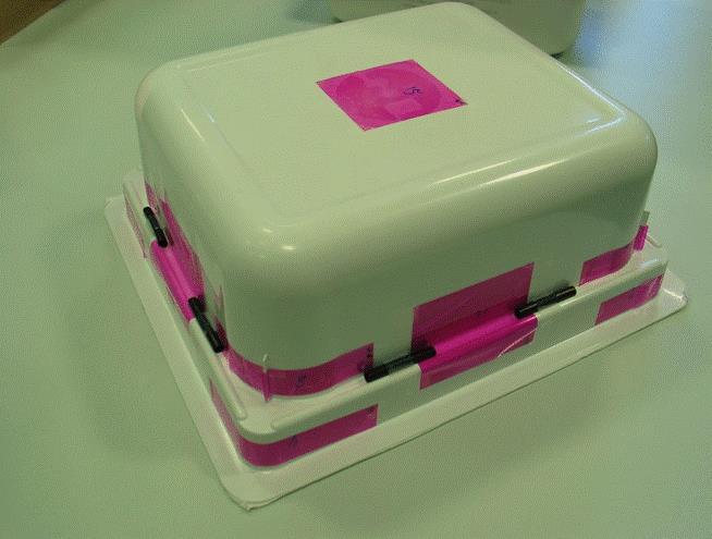 Figure 10 Example of dose map dosimeters on a tub after irradiation.
