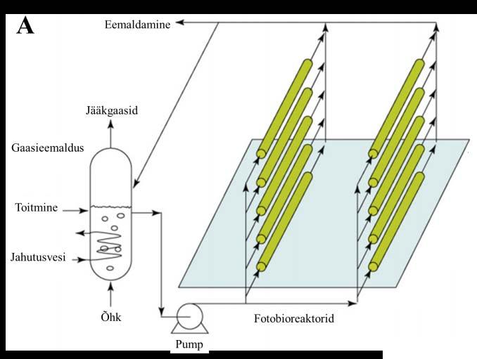 Fotoautotroofsete mikrovetikate kasvatamine võib seega lisaks avatud tiigisüsteemidele toimuda fotobioreaktorites, milleks on läbipaistvast ja õhukesest materjalist (tavaliselt plastmassist või