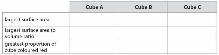 (b) Explain how the red dye molecules entered the jelly. (c) Use a ruler to measure the distance the red dye has entered each cube in diagram 1. mm (d) (i) Calculate the surface area of cube A.