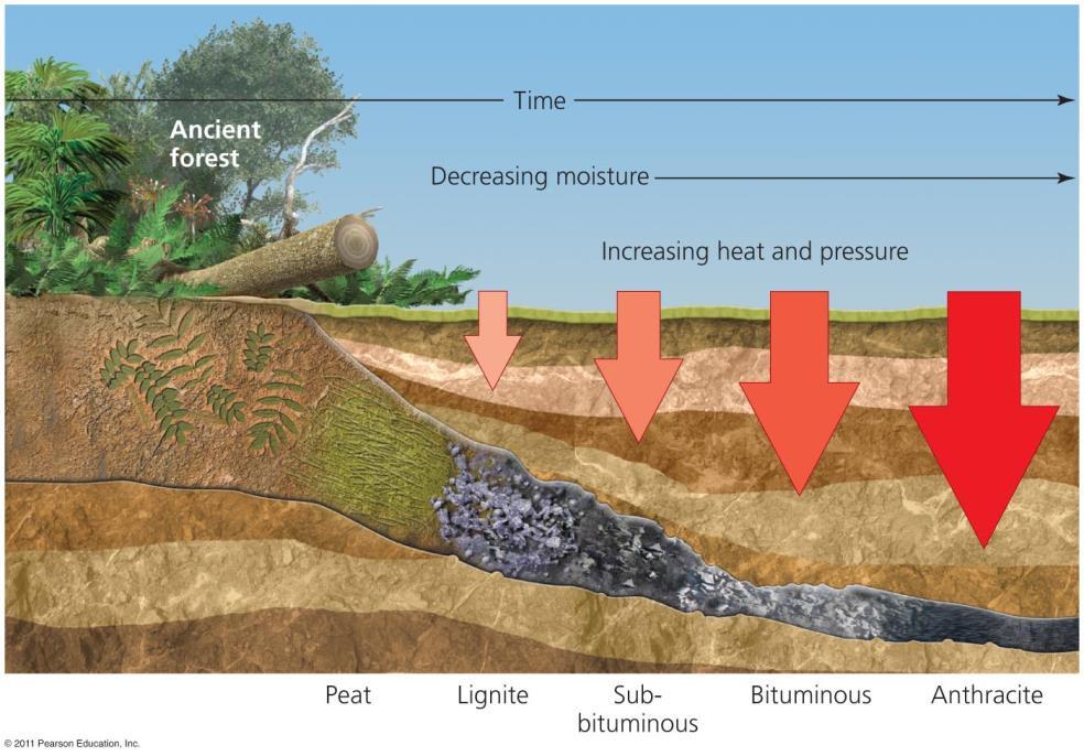 Coal is mined using two major methods = for deposits near the surface - Heavy machinery removes huge amounts of earth to expose the coal mining = underground deposits are reached by digging