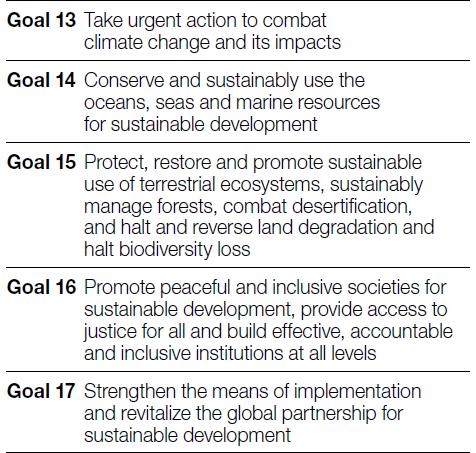 SDGs 169