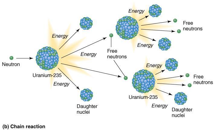 Figure 14.20B: Nuclear fission. A chain reaction is brought on by placing fissile uranium-235 into a nuclear reactor.